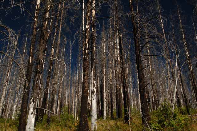 2003 fire at The Loop